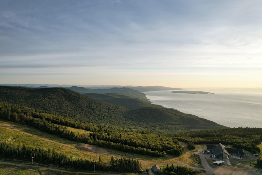 Paysage côtier avec collines verdoyantes sous un ciel bleu.