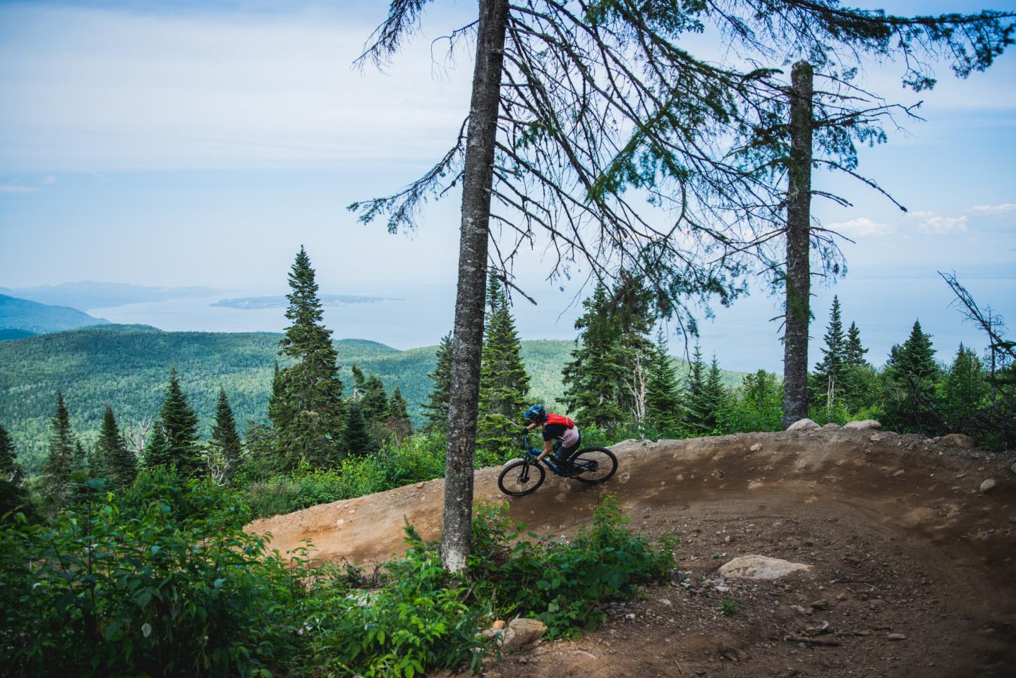 Cycliste sur sentier en forêt avec vue sur lac et montagnes.