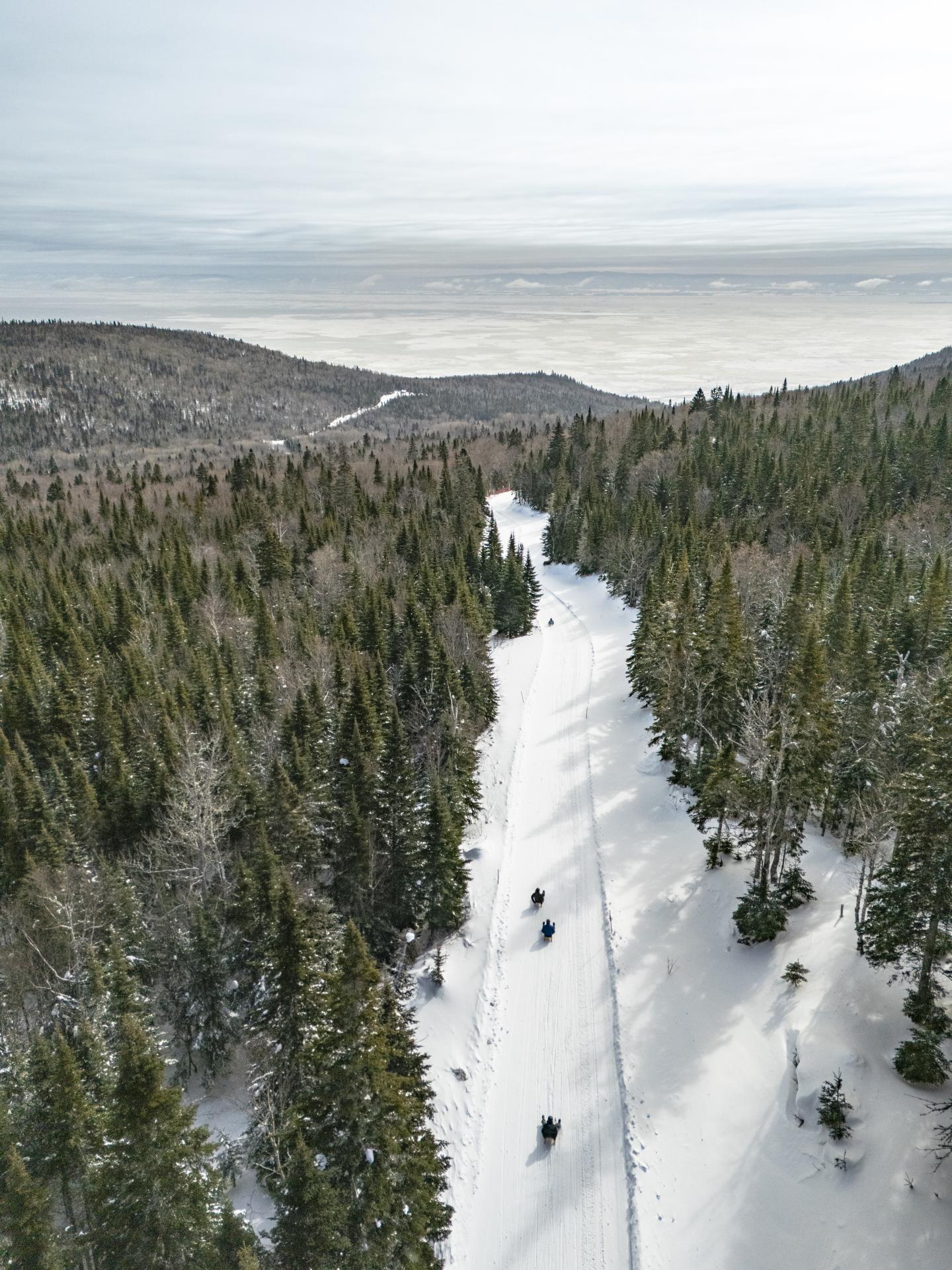 Route enneigée bordée de sapins, paysage hivernal avec collines à l'horizon.