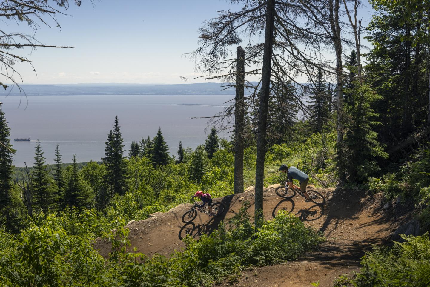 Deux cyclistes sur un sentier forestier avec vue sur la mer.