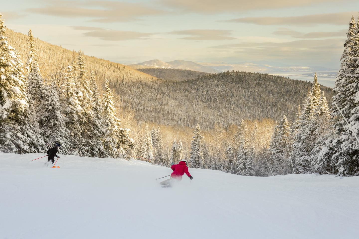 Skiers sur une piste enneigée, entourés de sapins, ciel nuageux.