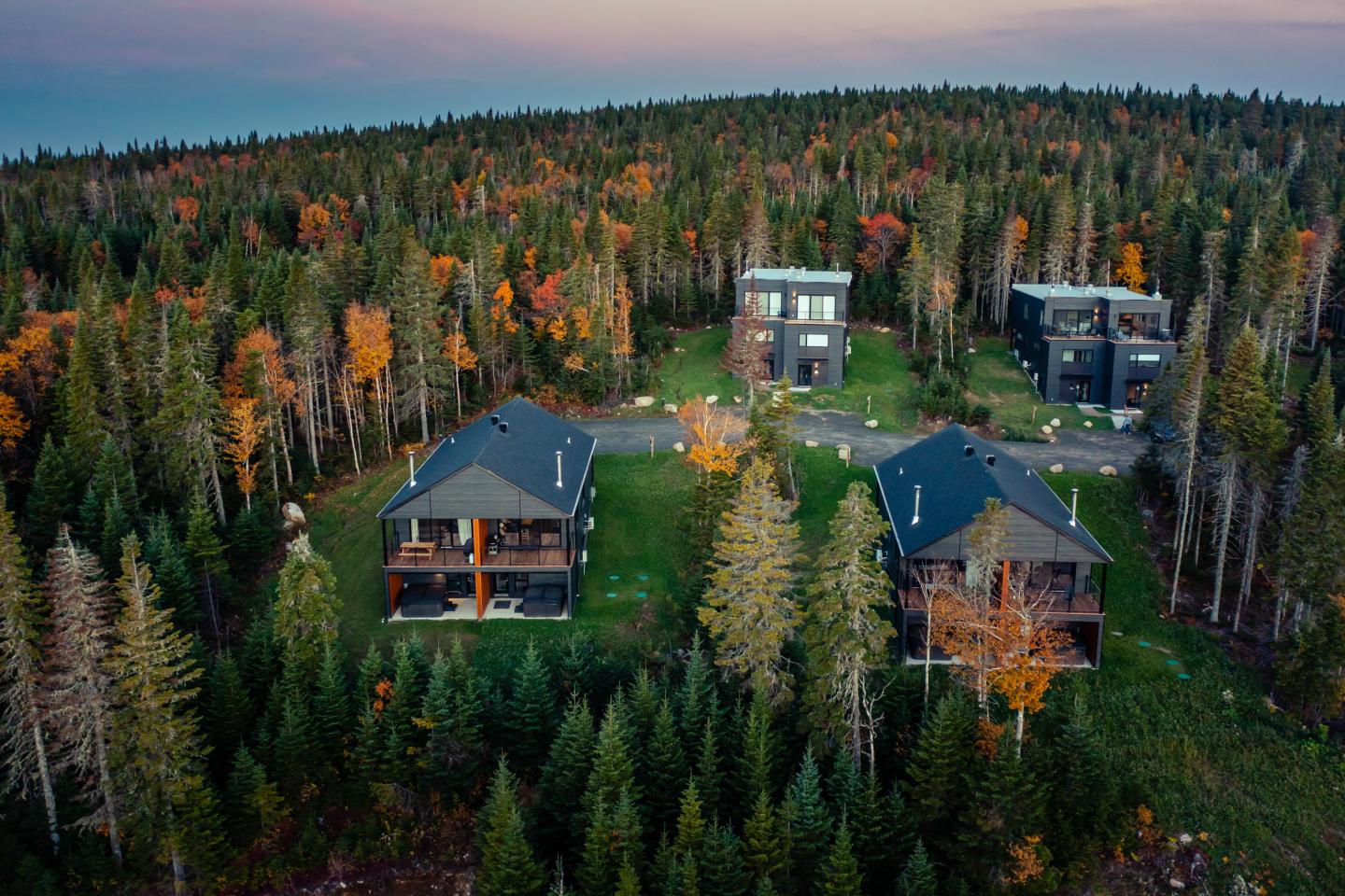 Chalets en bois entourés de forêt automnale, vue aérienne.