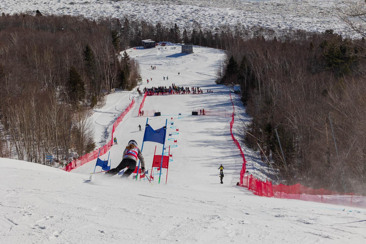 Skieur dévalant une piste de slalom bordée d'arbres et de barrières rouges.
