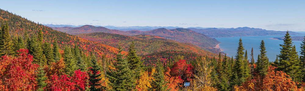 Paysage automnal de montagnes et forêt colorée avec vue sur un lac.