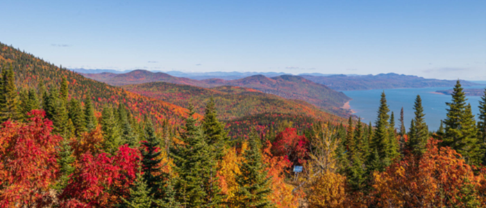 Paysage automnal, forêt colorée et montagnes sous ciel bleu.