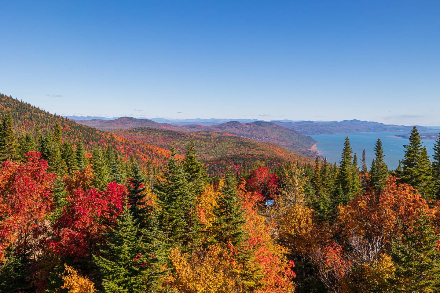Forêt automnale aux couleurs vives, vue sur montagnes et lac sous ciel bleu.