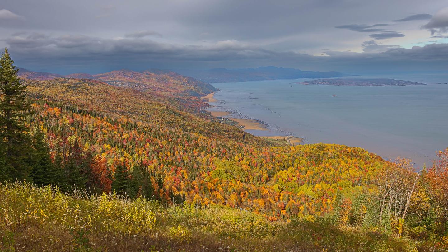 Paysage automnal coloré avec vue sur l'océan et ciel nuageux.