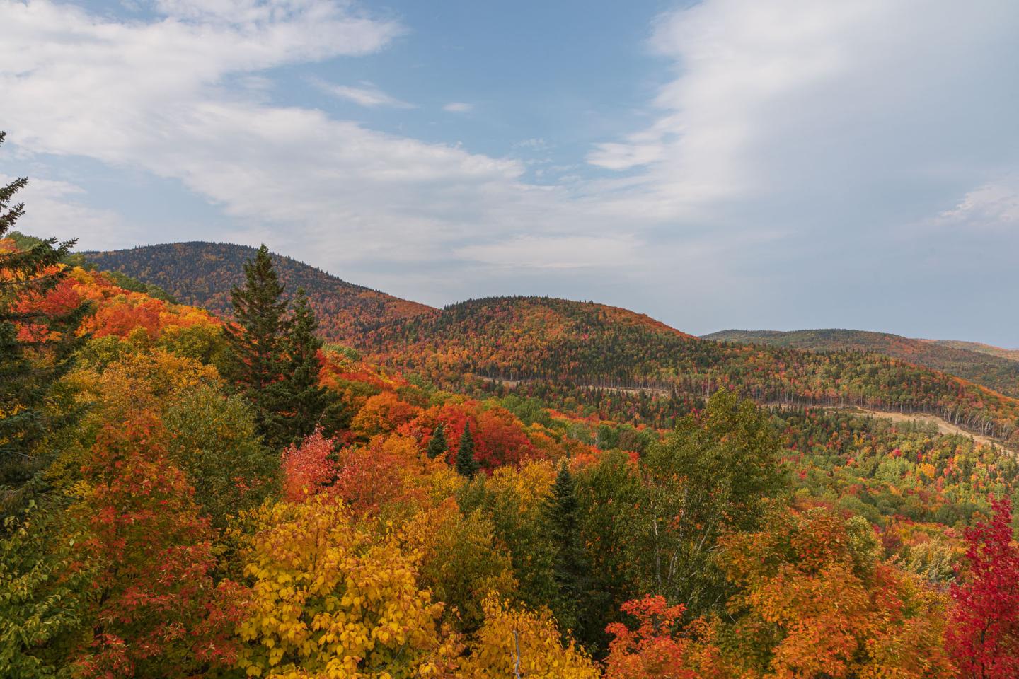 Paysage automnal avec collines boisées aux feuilles rouges et jaunes sous un ciel partiellement nuageux.
