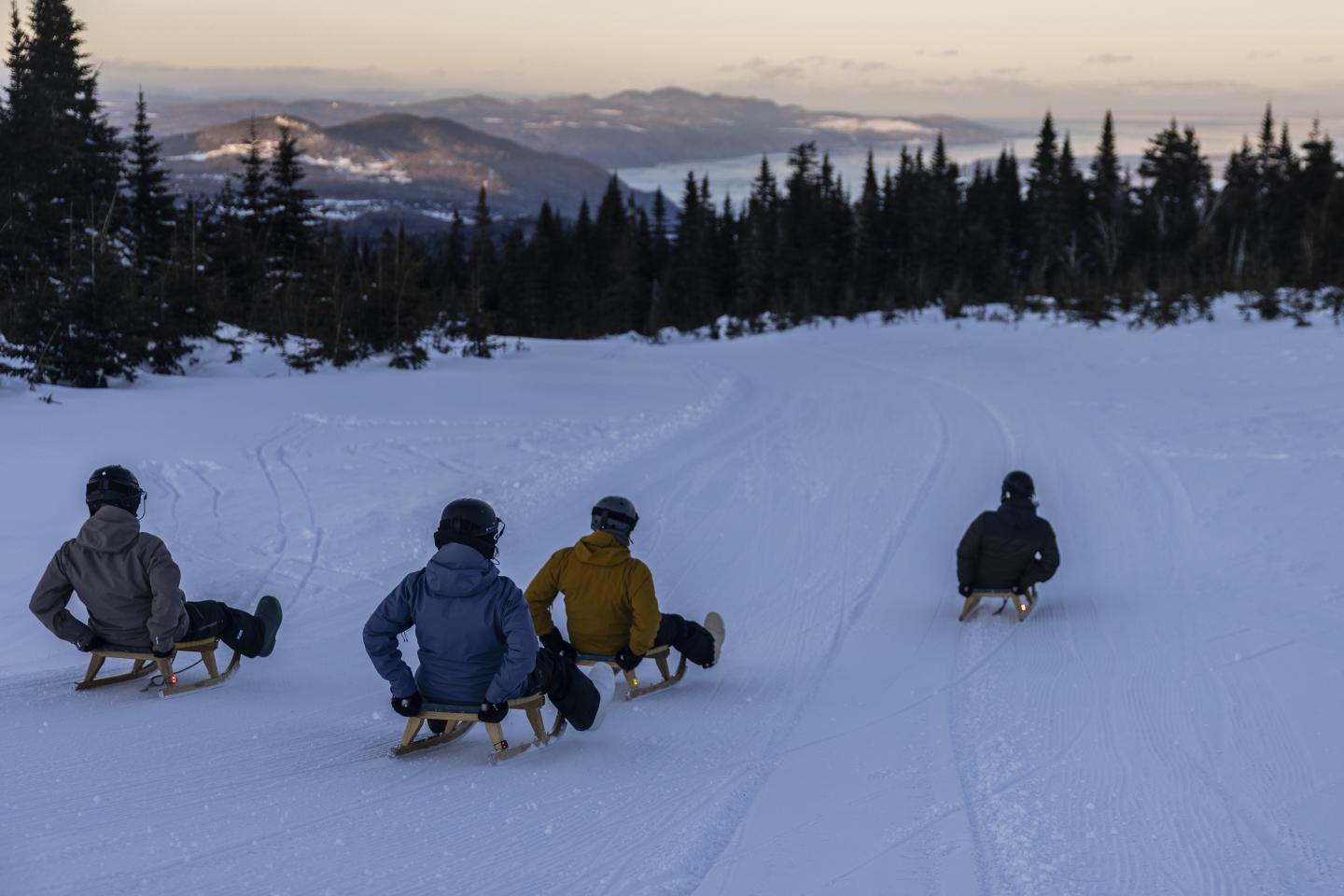 Personnes en luge sur une piste enneigée, entourées d'arbres et de montagnes au crépuscule.