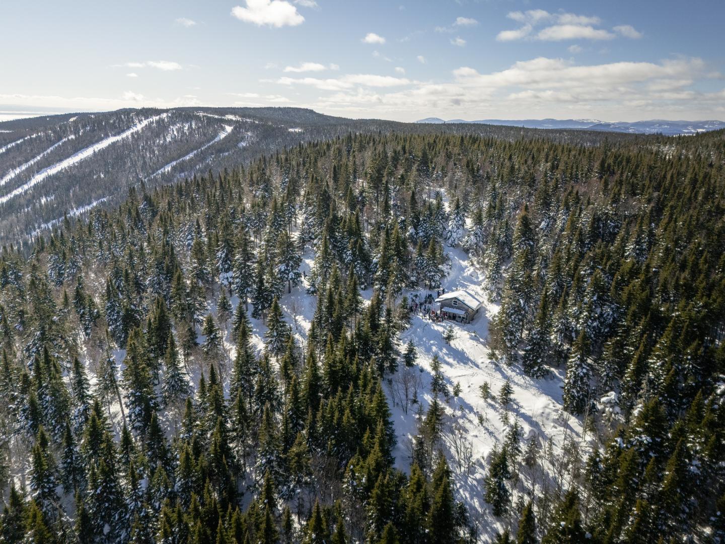 Forêt enneigée entourant une cabane sous un ciel bleu clair.