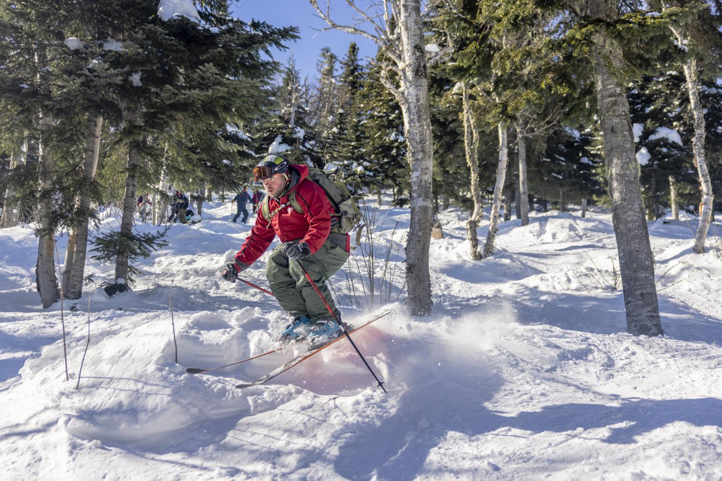 Personne en veste rouge skiant entre des arbres, ciel bleu en arrière-plan.
