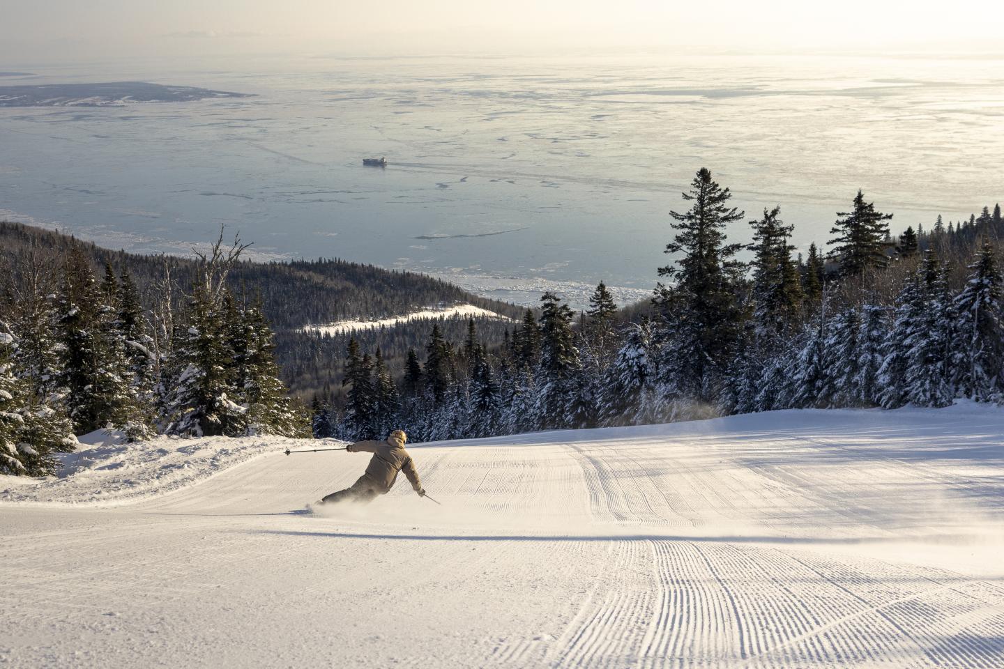 Skieur descendant une piste enneigée, forêt et mer en arrière-plan.