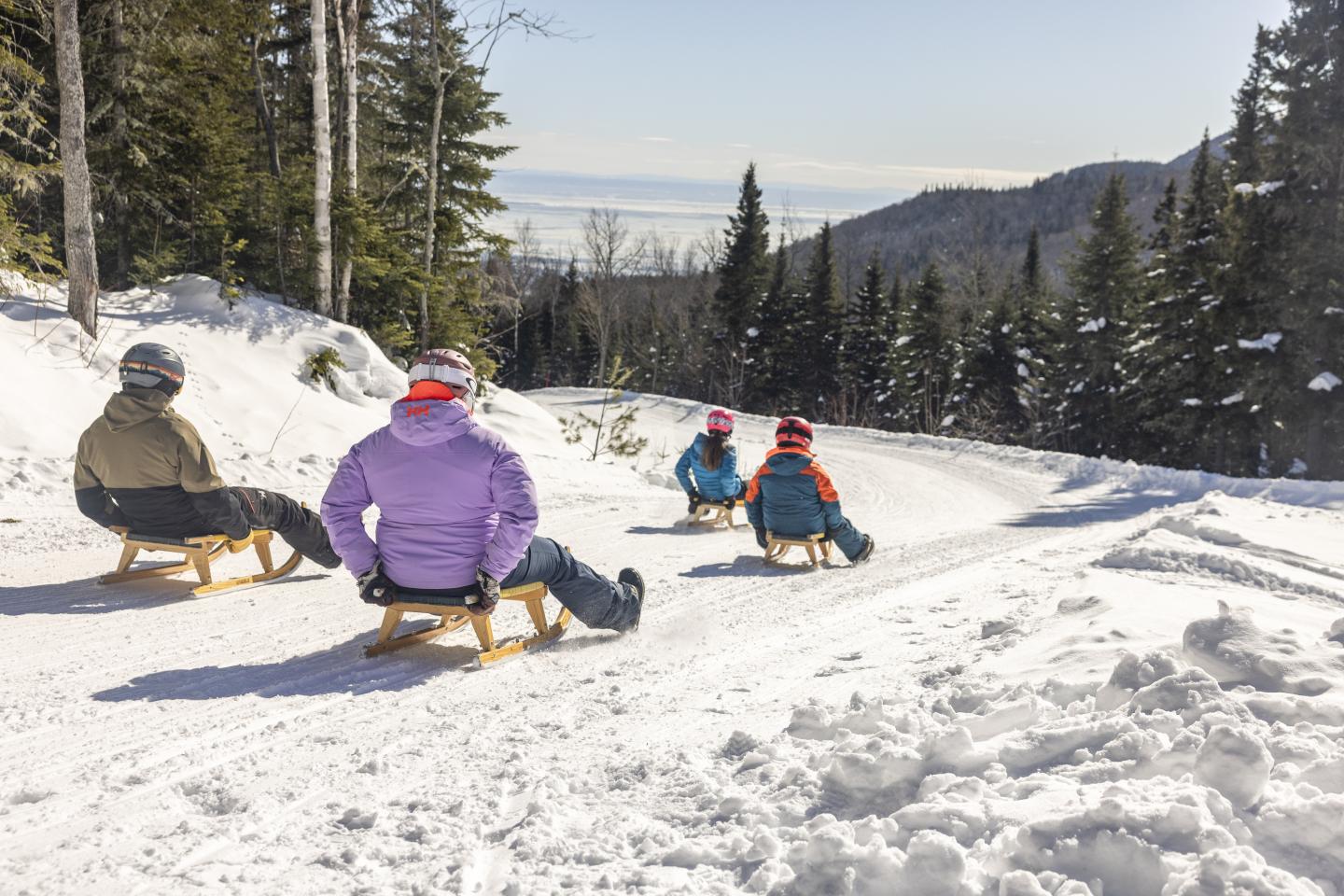 Personnes faisant de la luge sur une piste enneigée en forêt.