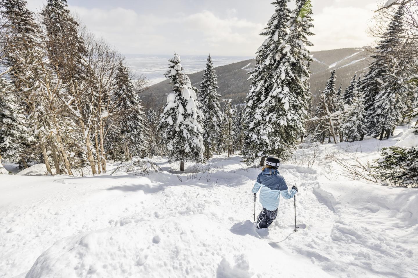 Skieur descendant une pente boisée enneigée sous un ciel clair.