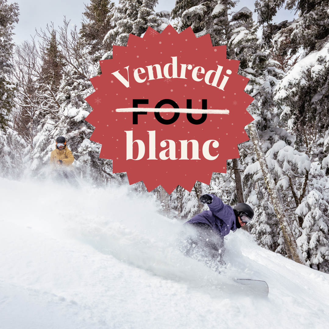 Deux personnes font du ski dans une forêt enneigée.