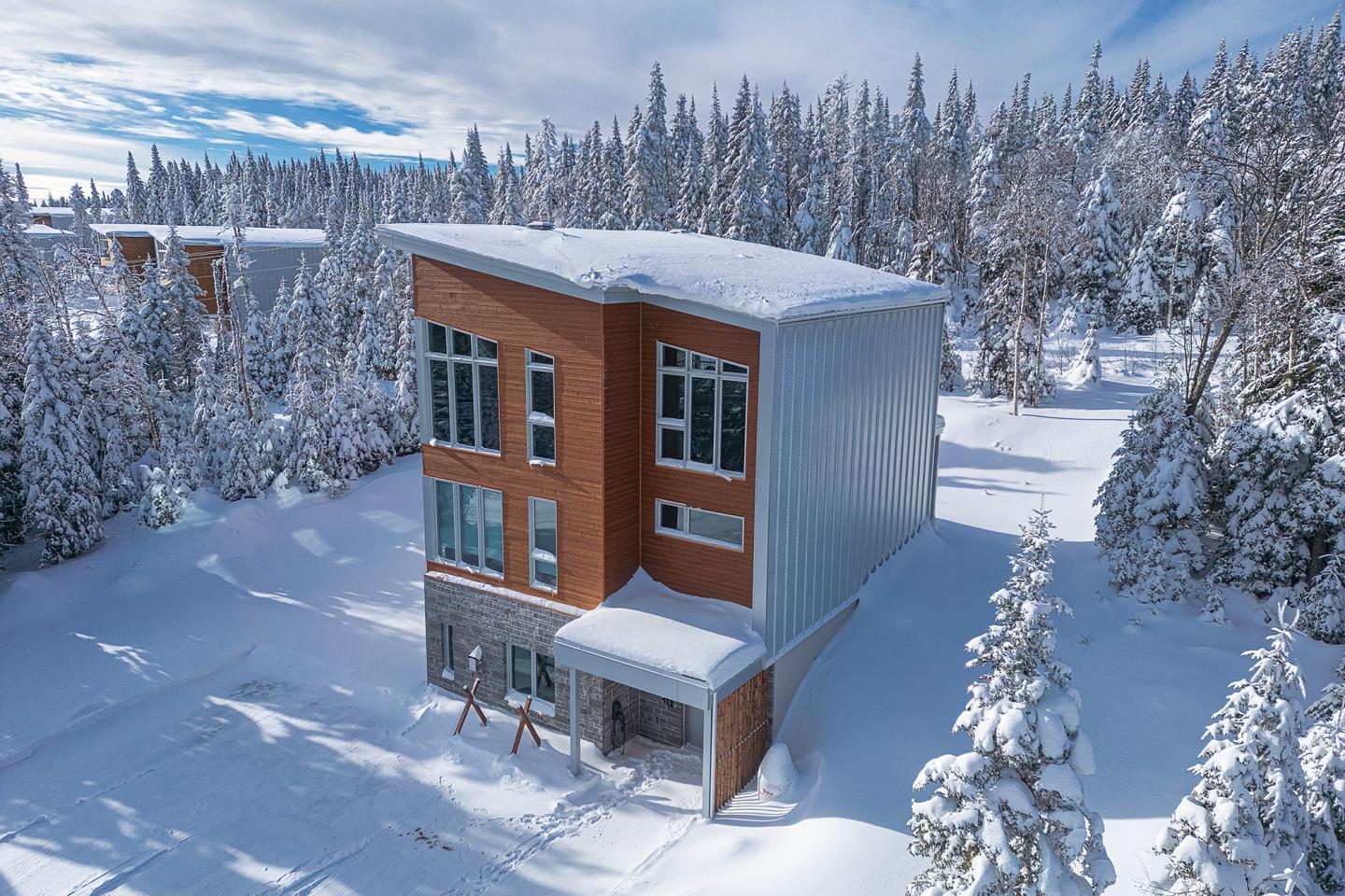Maison moderne en bois et métal, entourée de neige et de sapins, ciel partiellement couvert.