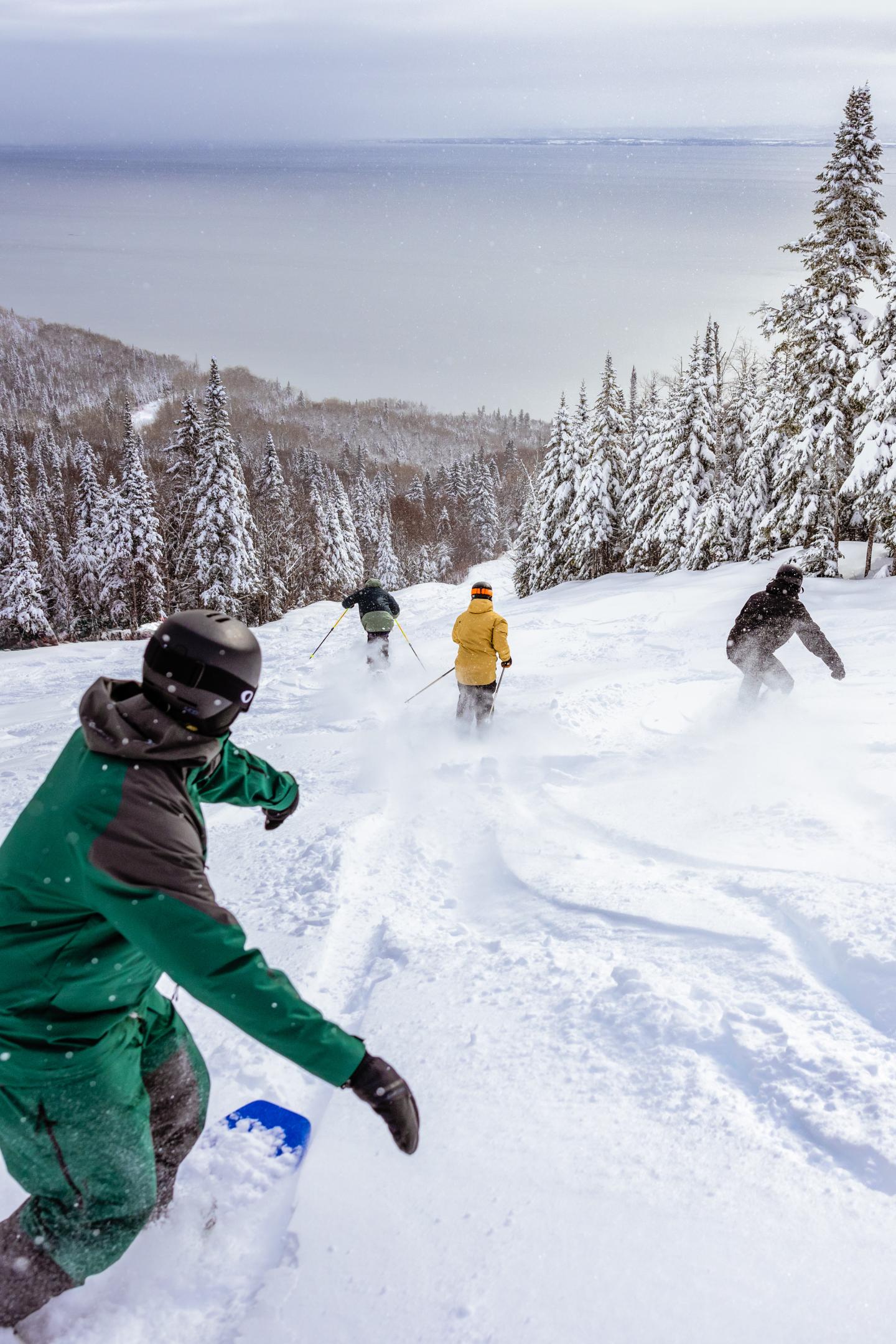Quatre personnes sur des snowboards descendent une pente enneigée, entourées d'arbres.