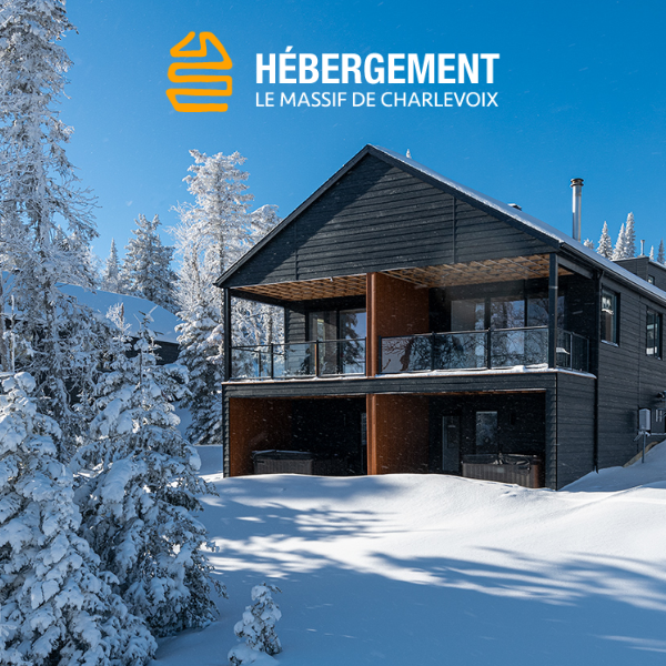 Chalet moderne en bois entouré de neige et sapins sous ciel bleu.