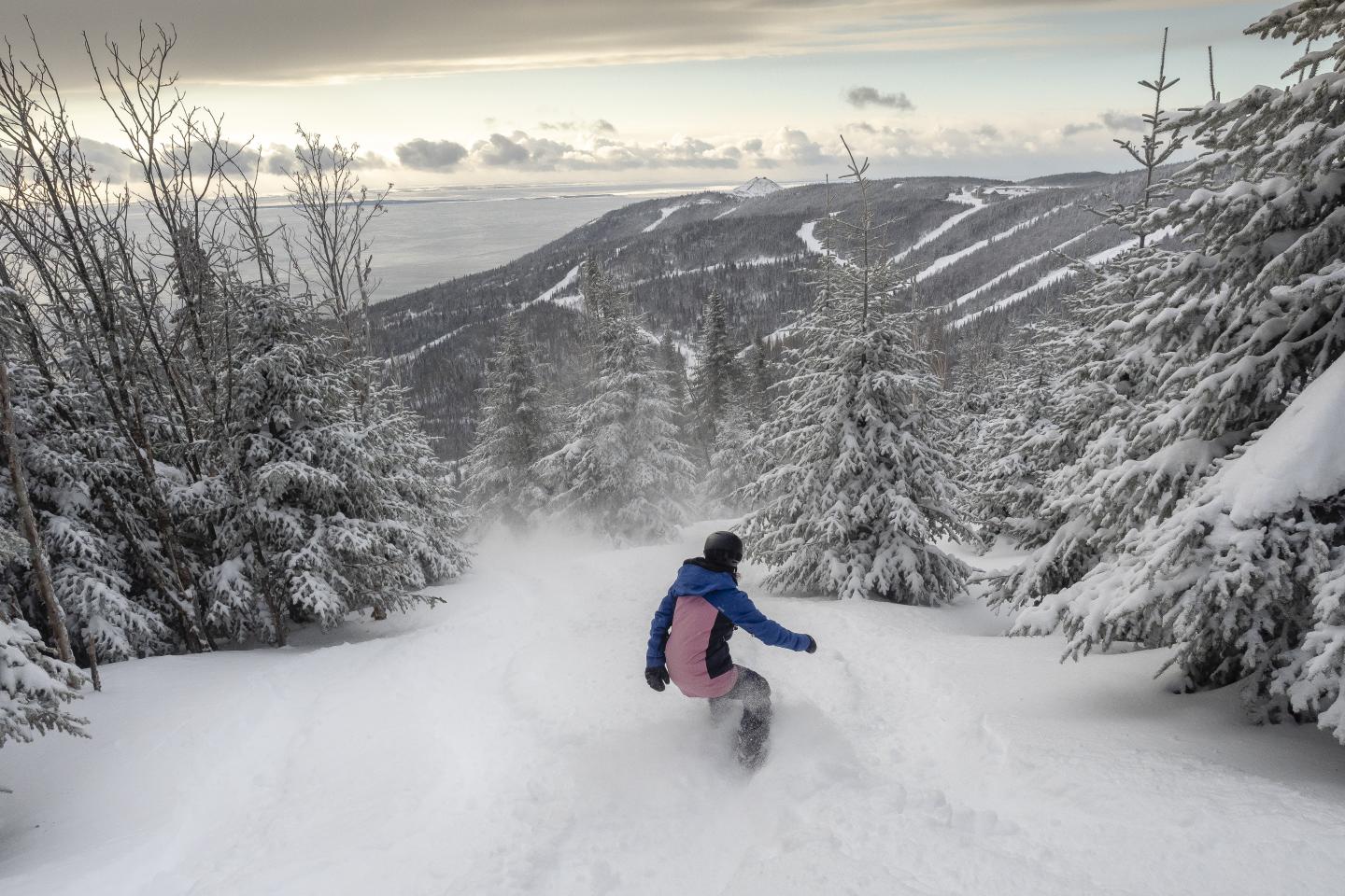 Snowboardeur descendant une piste enneigée bordée d'arbres sous un ciel nuageux.