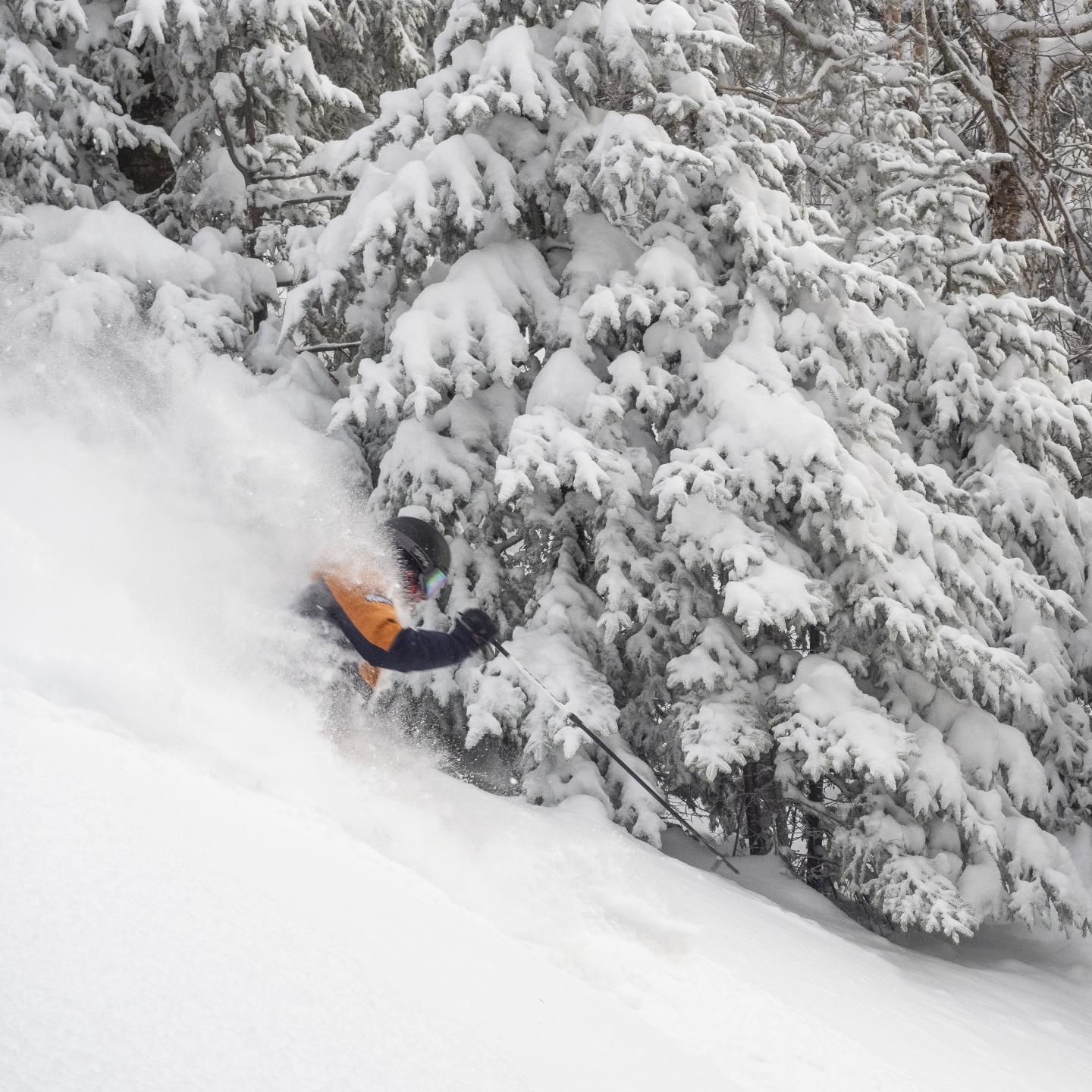Skieur dévalant une pente enneigée bordée de sapins chargés de neige.