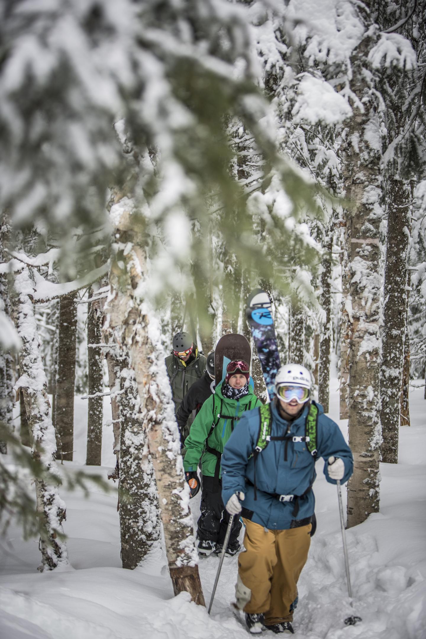 Randonneurs marchant dans une forêt enneigée.