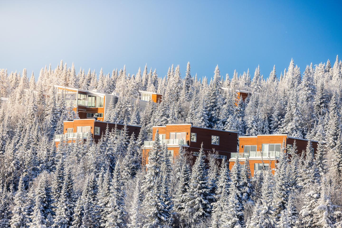 Chalets rouges nichés dans une forêt enneigée sous un ciel bleu.
