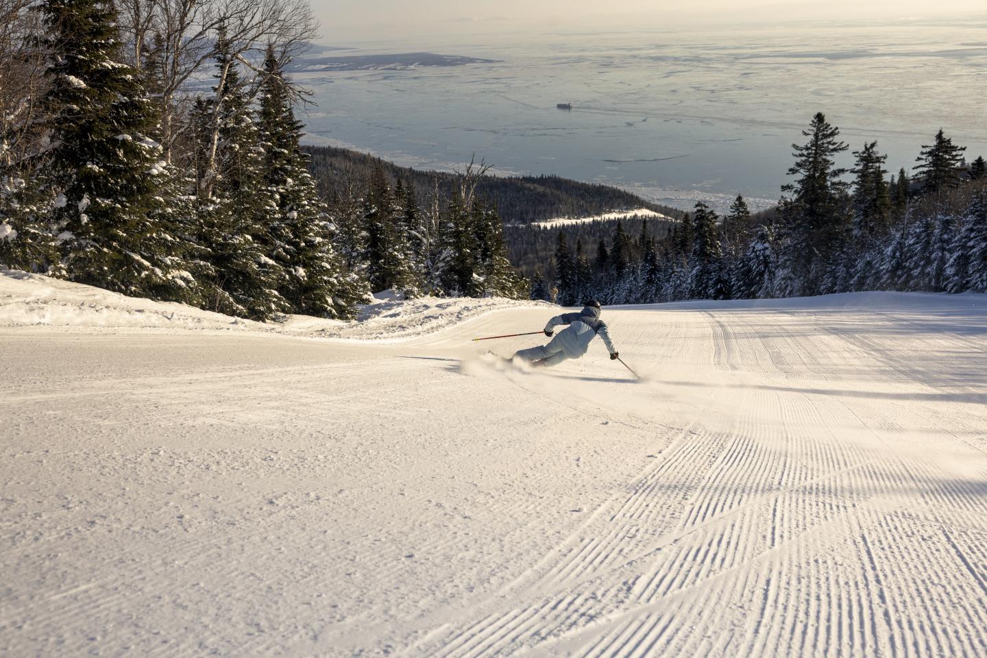 Skieur solitaire sur piste enneigée, forêt et mer en arrière-plan.