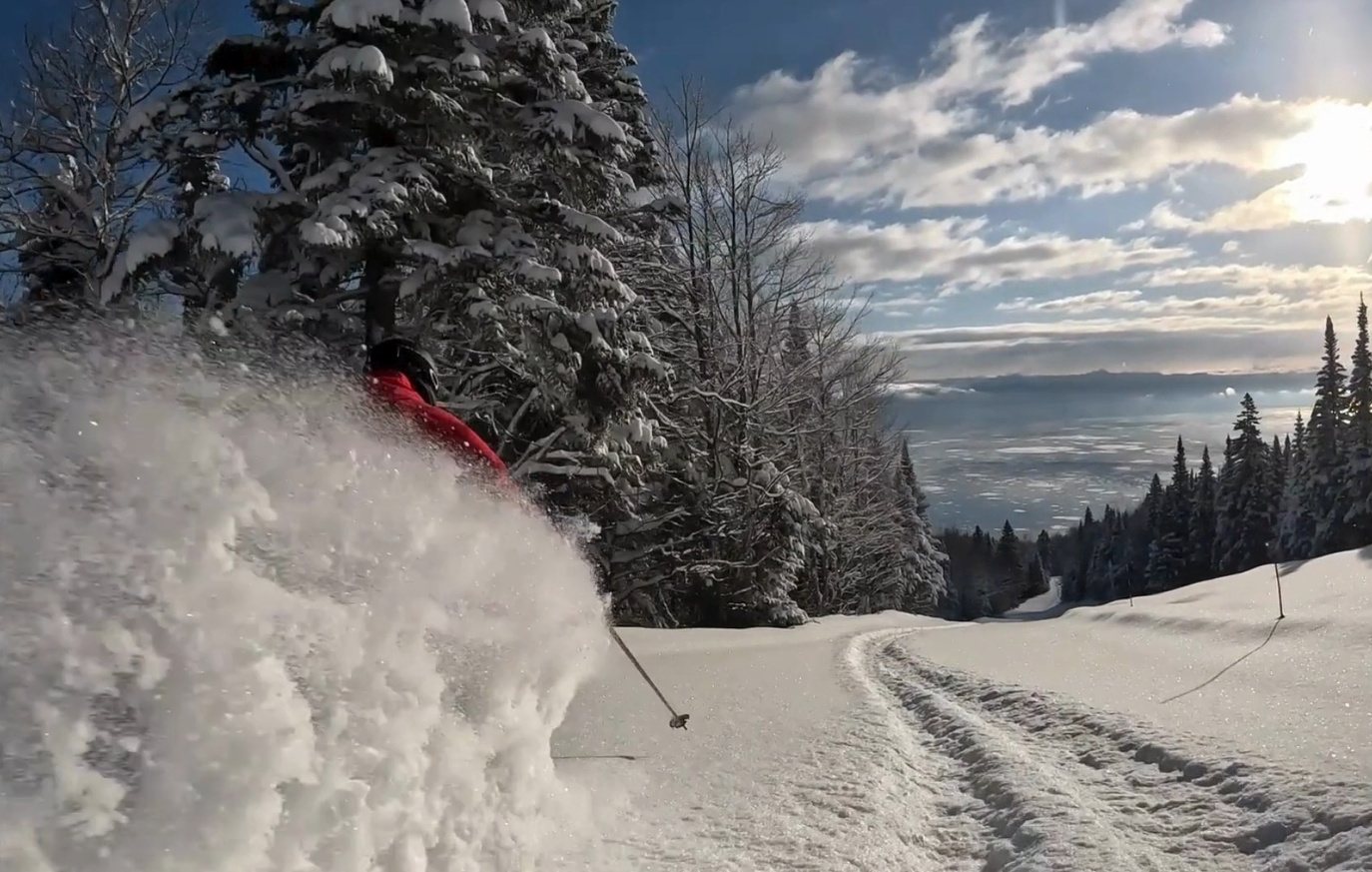 Skieur en descente sur une piste enneigée, ciel bleu et arbres couverts de neige.