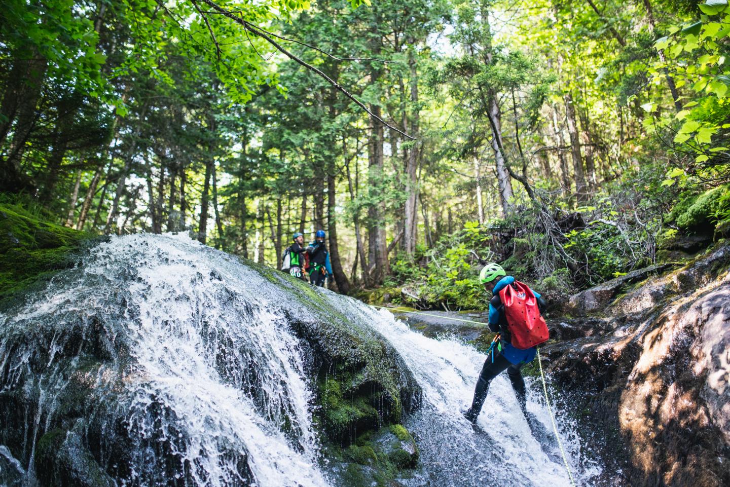Personne escaladant une cascade dans une forêt verdoyante.