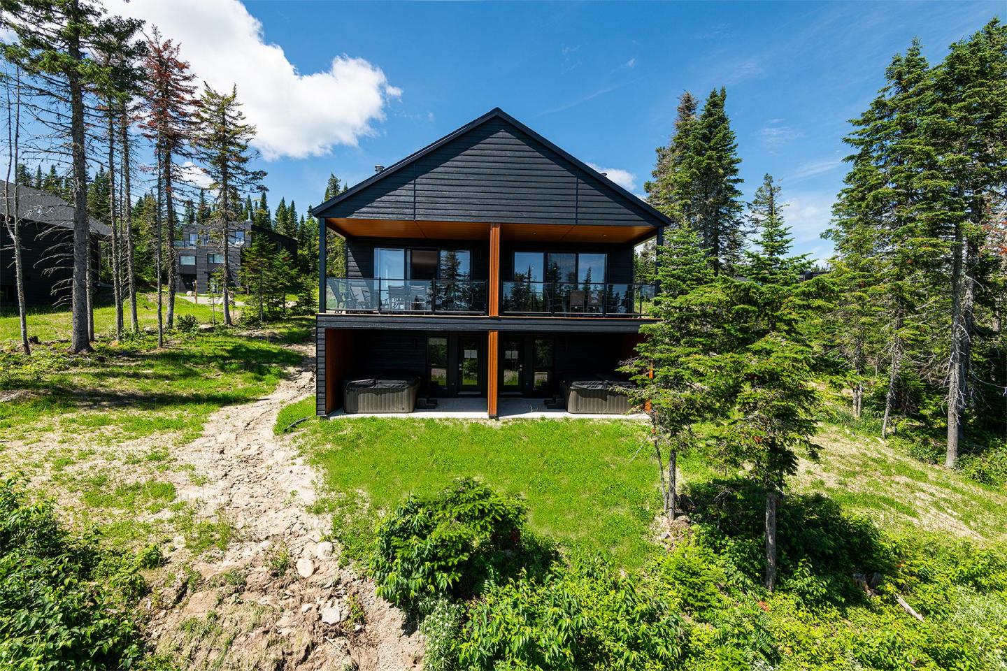 Maison moderne avec façade noire, entourée d'arbres et pelouse verte. Ciel bleu en arrière-plan.