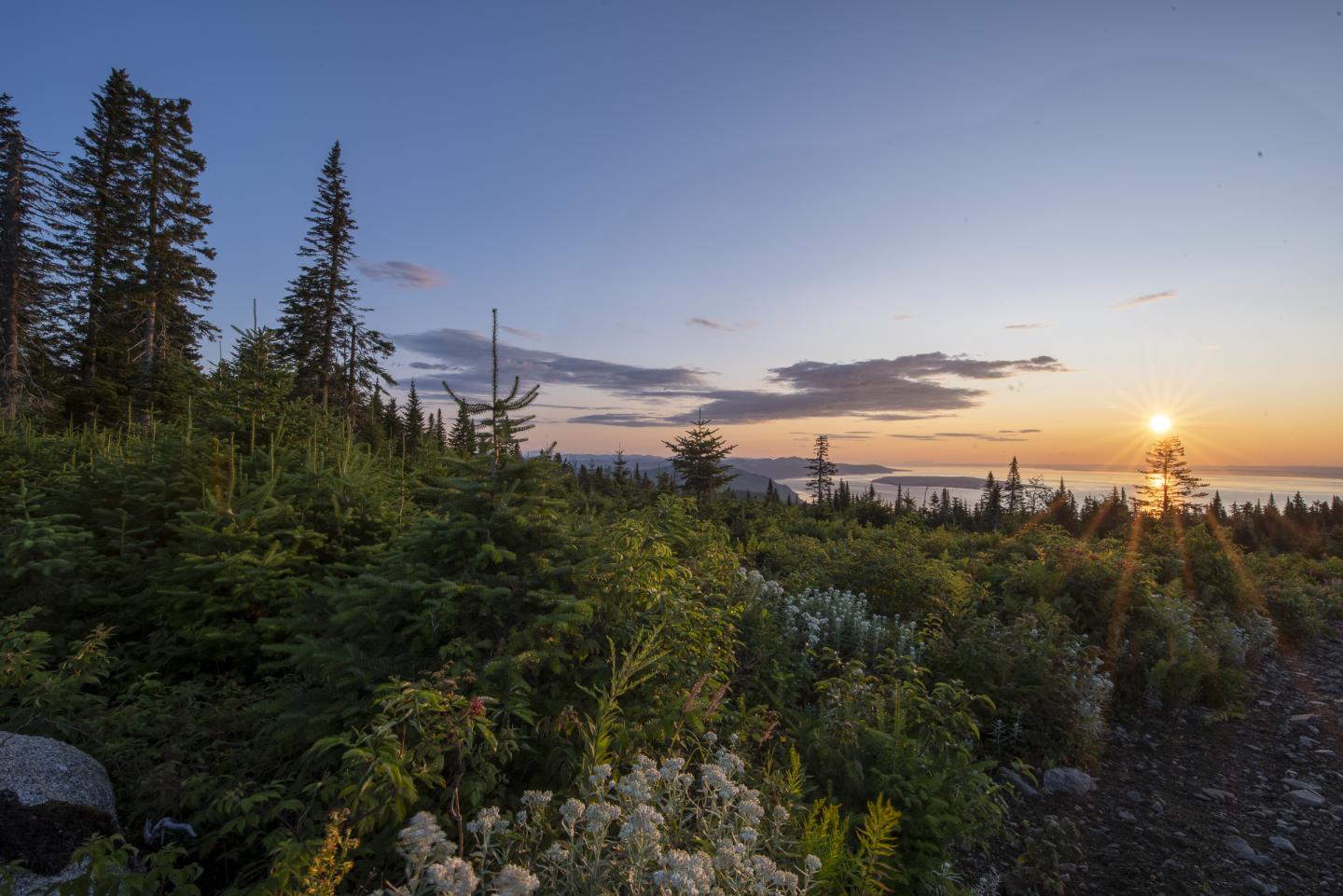 Paysage de coucher de soleil sur des collines verdoyantes et forêt.