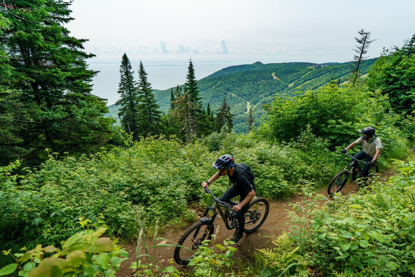 Deux cyclistes descendent un sentier en forêt, avec vue sur la mer.