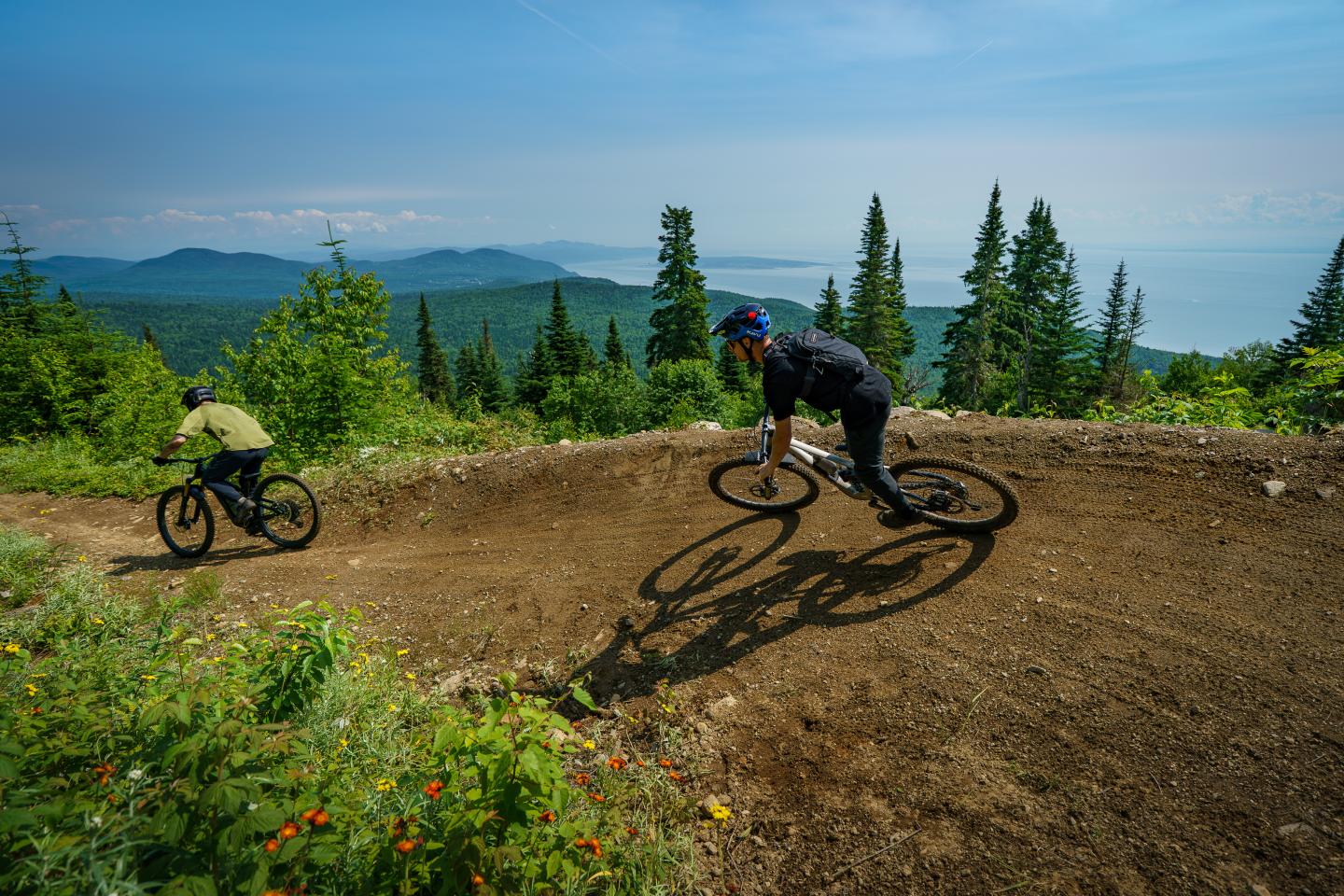 Deux cyclistes descendent un sentier montagneux entouré de pins, ciel bleu en arrière-plan.