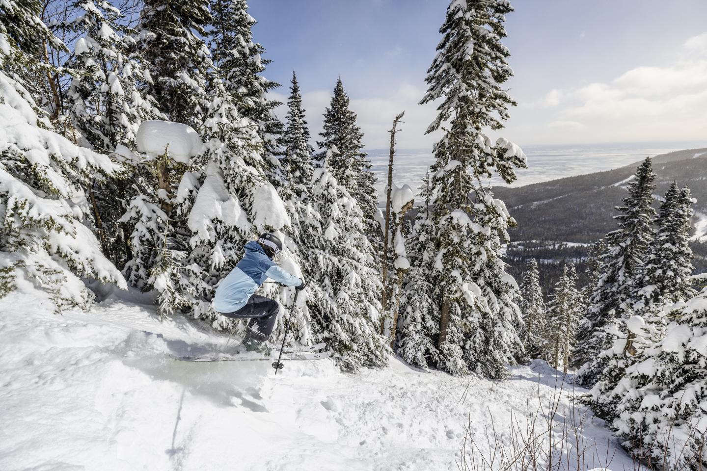 Skieur dévalant une pente enneigée entre les sapins sous un ciel dégagé.