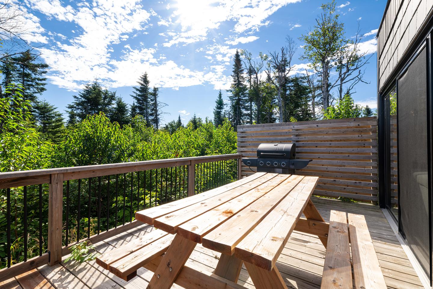Terrasse en bois avec table, barbecue et ciel bleu en arrière-plan.
