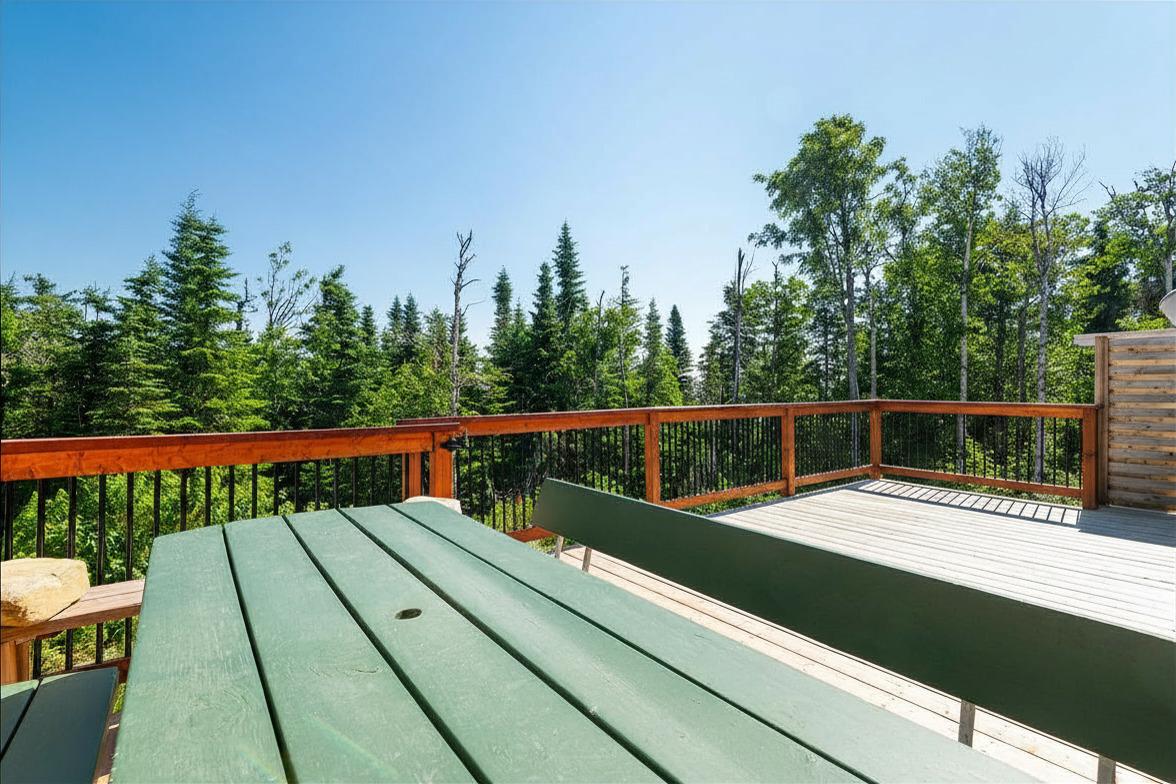 Terrasse en bois avec table verte, vue sur forêt dense et ciel bleu.