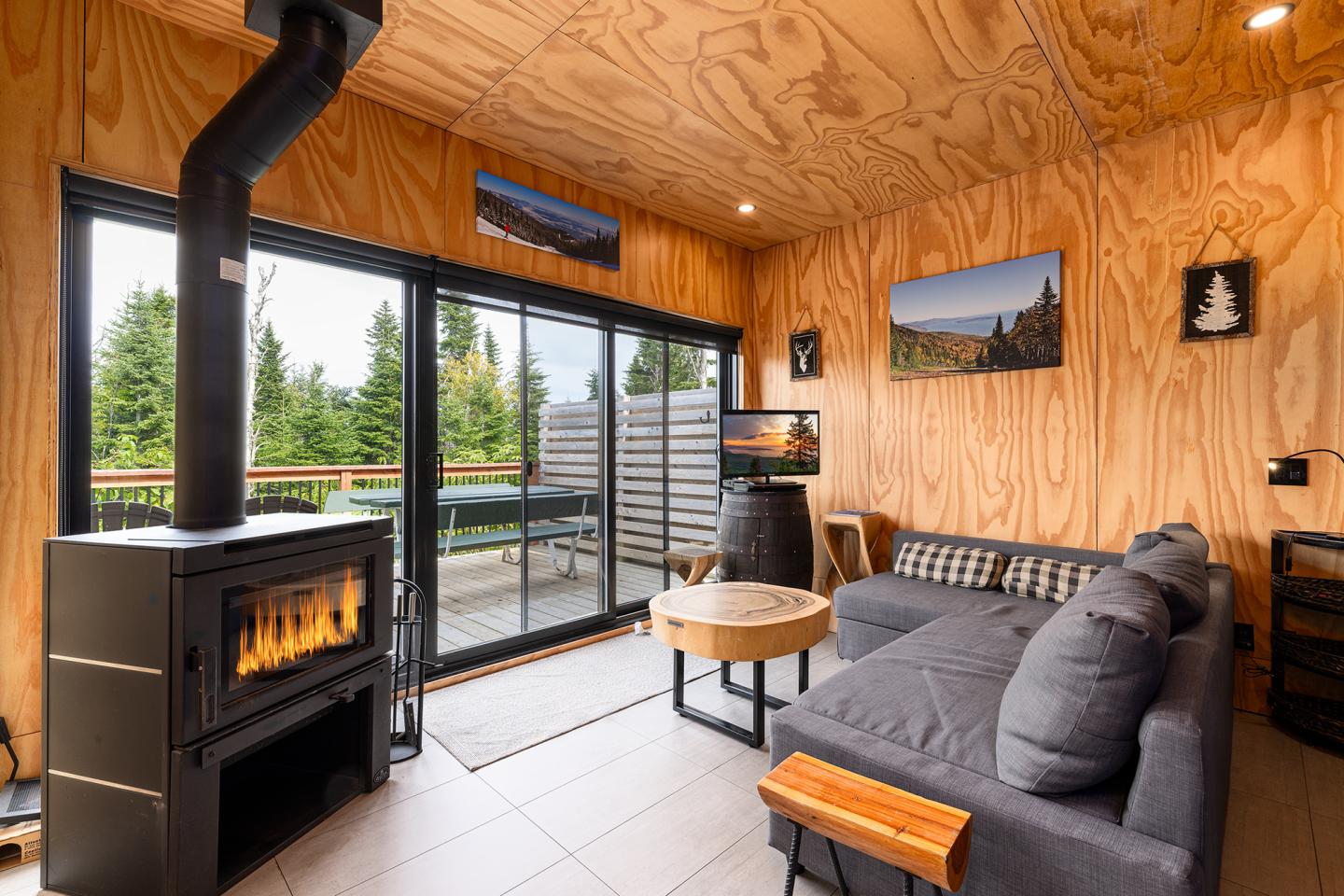Salon en bois avec poêle à bois, canapé gris et grandes fenêtres donnant sur la forêt.