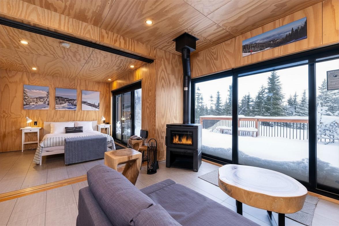 Salon cosy avec cheminée, vue sur la neige depuis de grandes baies vitrées.