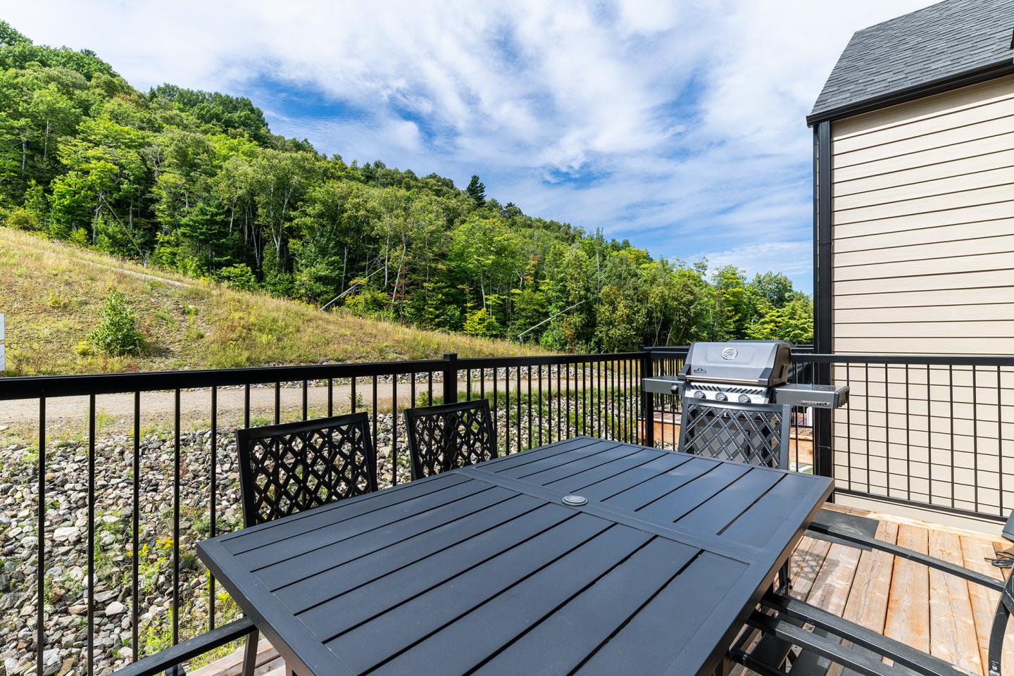 Terrasse avec table noire, barbecue, vue sur colline verdoyante et ciel bleu.