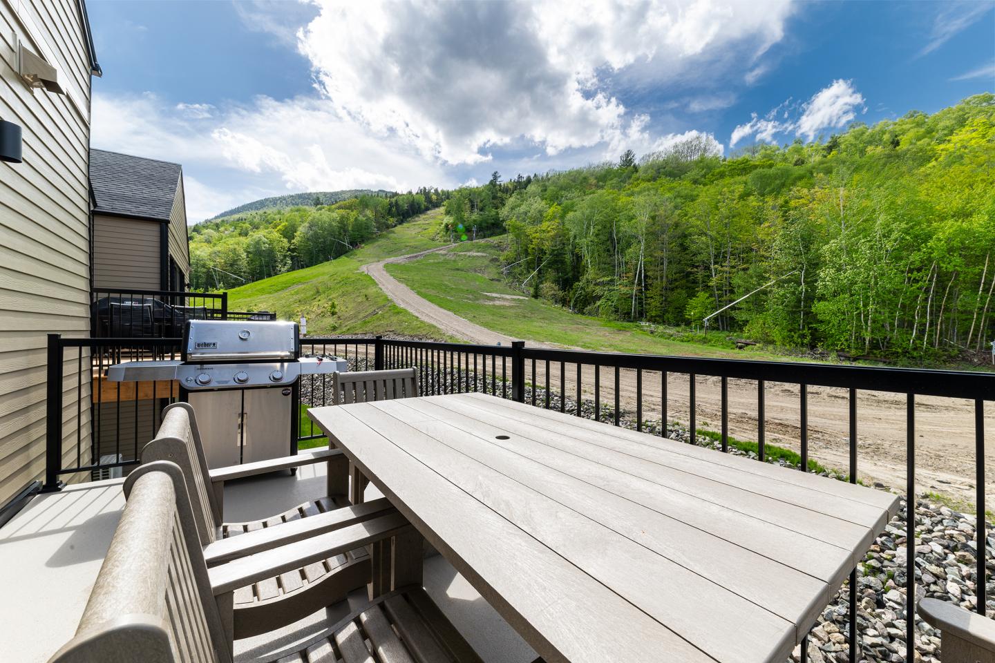 Terrasse avec table, barbecue et vue sur colline verdoyante sous un ciel nuageux.