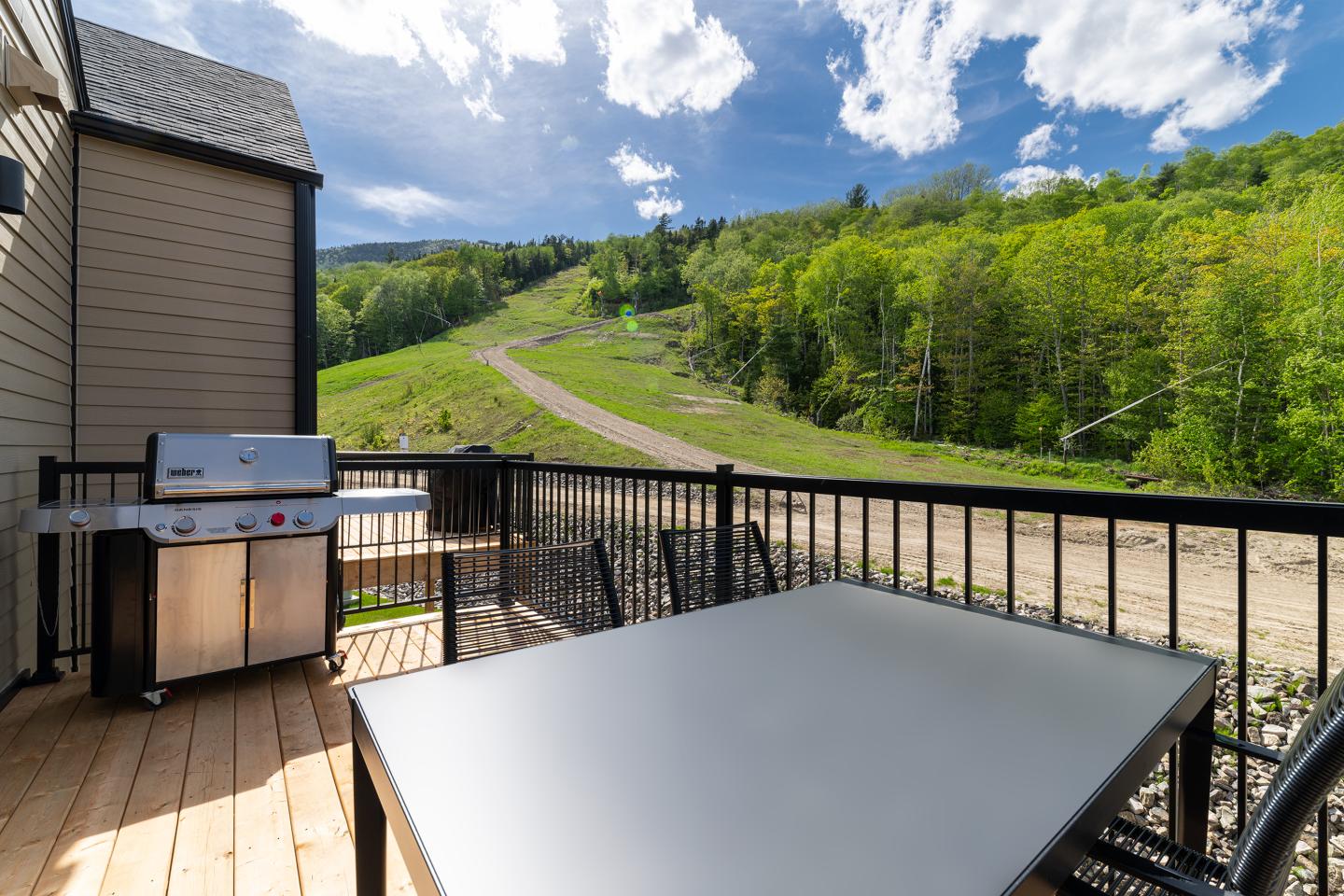 Terrasse ensoleillée avec table, barbecue, et vue sur montagnes verdoyantes.