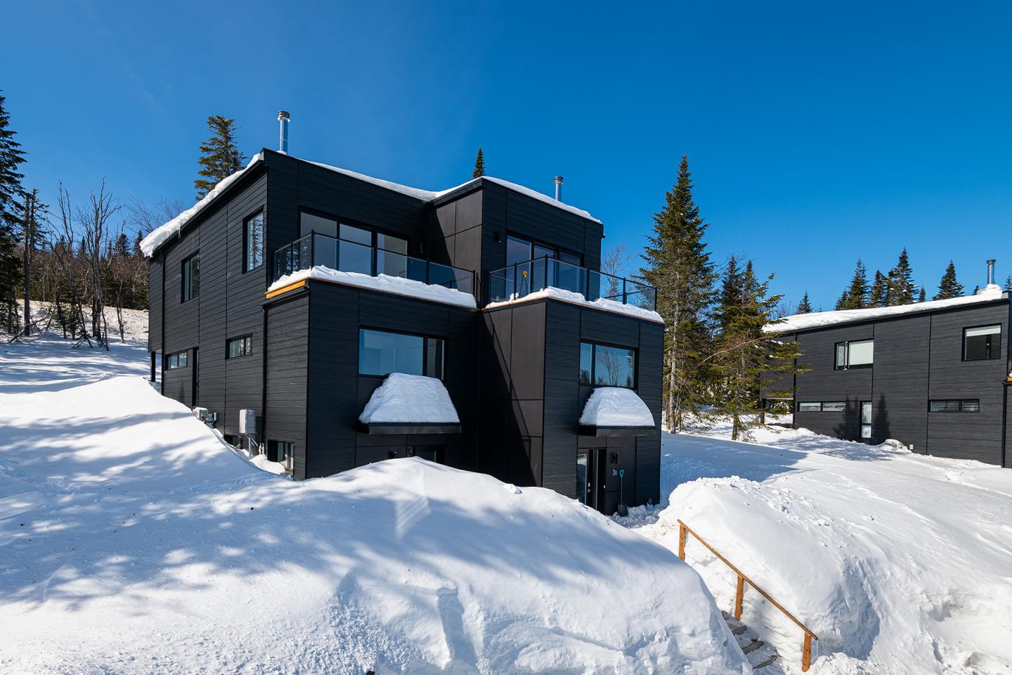Maison moderne noire entourée de neige sous ciel bleu.