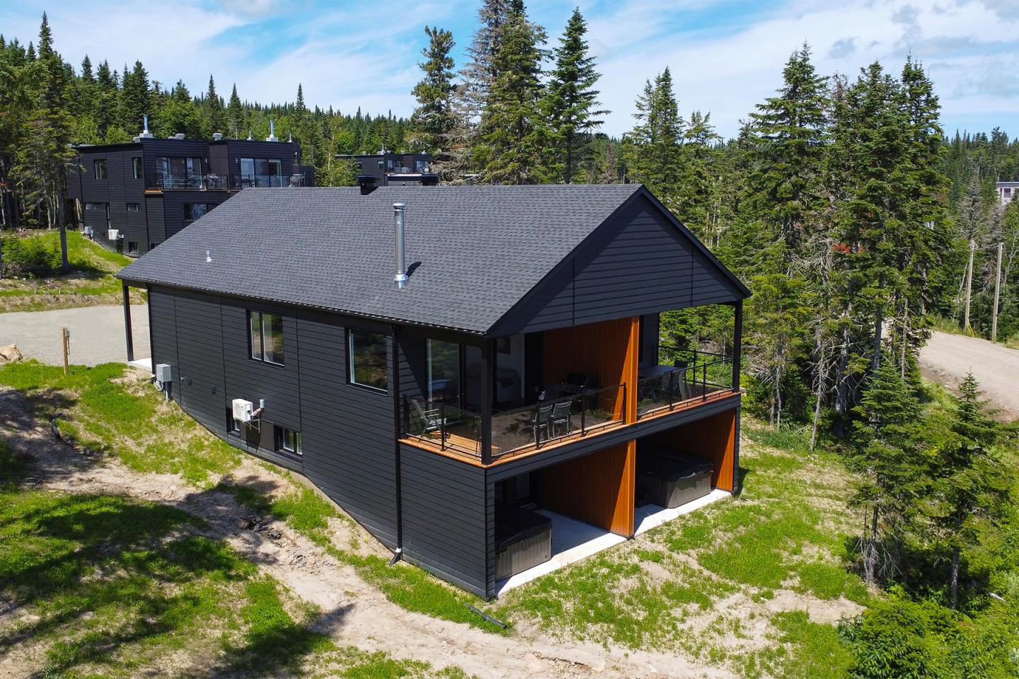 Maison moderne noire en bois entourée de pins, ciel bleu clair.