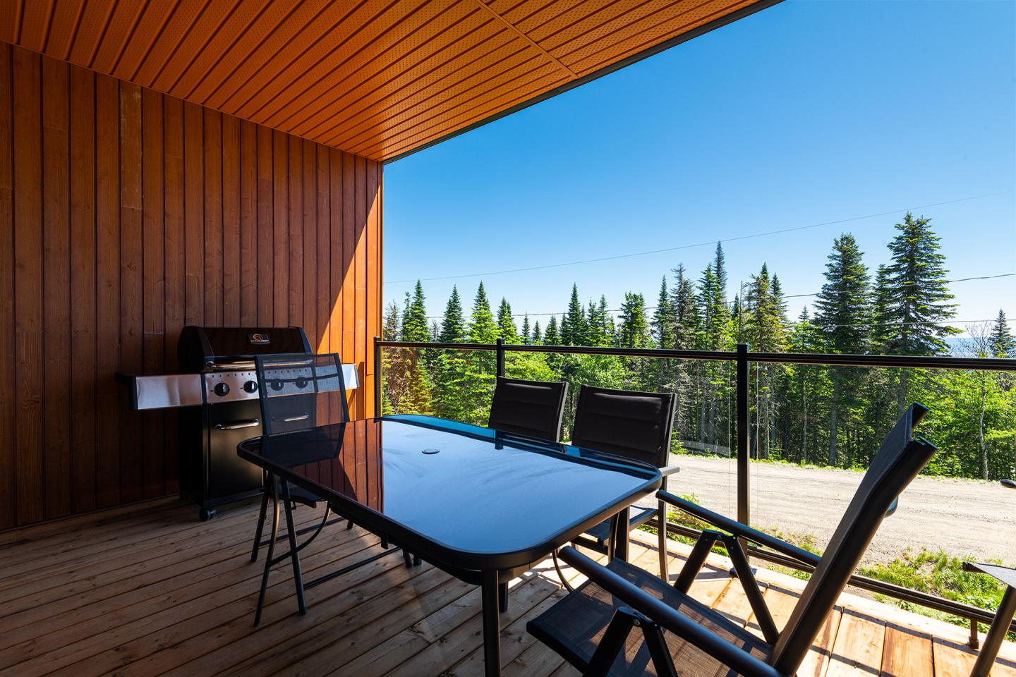 Terrasse en bois avec table, chaises et barbecue, vue sur forêt et ciel bleu.