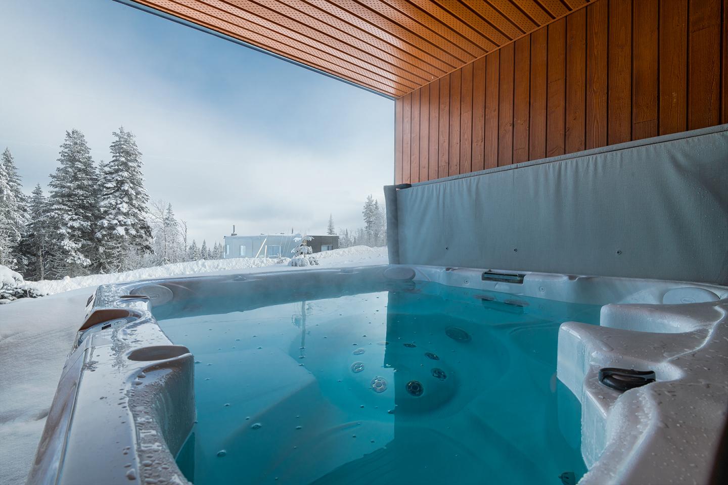 Jacuzzi extérieur avec vue sur un paysage enneigé et des sapins.