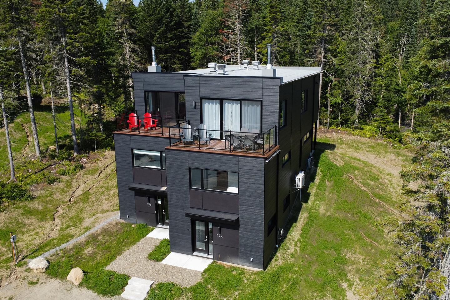 Maison moderne noire à deux étages entourée de forêt verte.