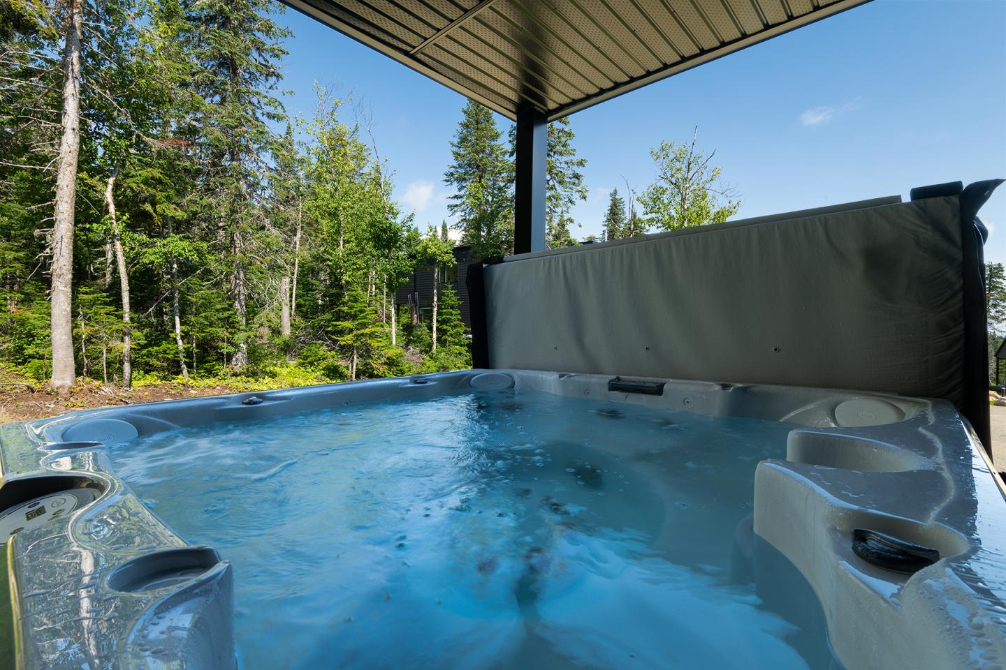 Jacuzzi extérieur sous un auvent, entouré d'arbres et ciel bleu.