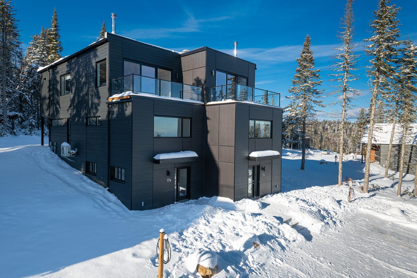 Maison moderne noire dans la neige, entourée de sapins sous un ciel bleu.