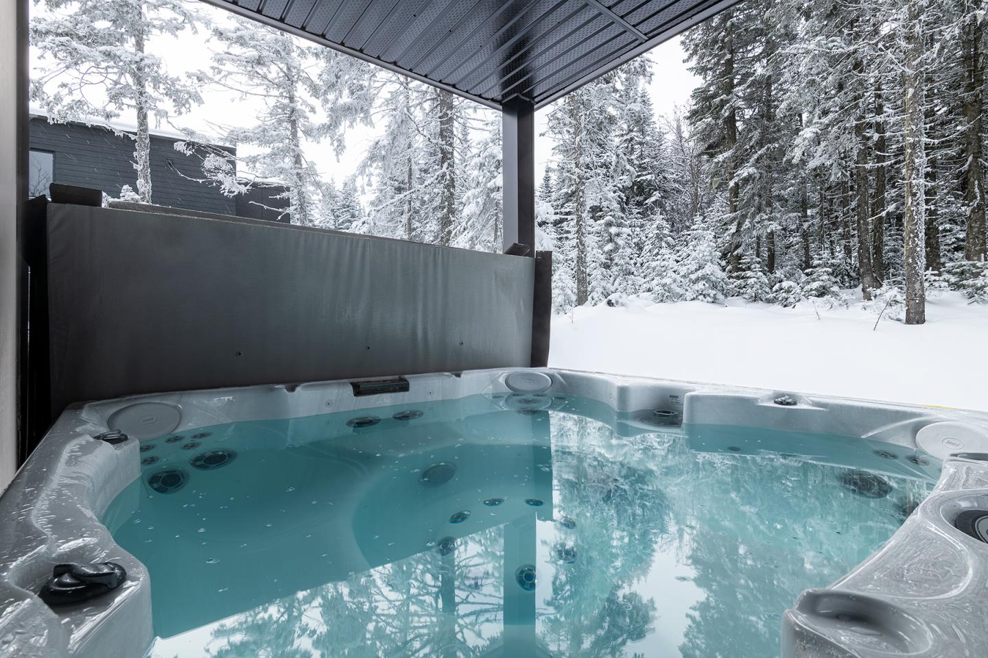 Spa extérieur sous abri, entouré de neige et forêt.