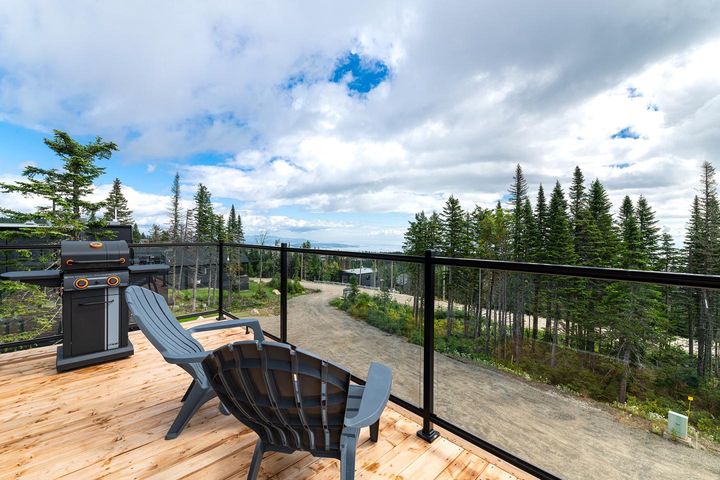 Terrasse en bois avec deux chaises, barbecue, vue sur forêt et ciel nuageux.